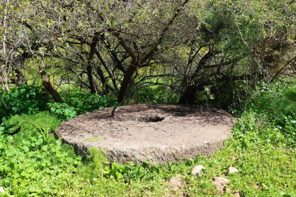 ديشوم / صفد: بعدسة الموثقة رنا عوايسة