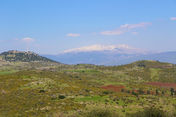 ديشوم / صفد: بعدسة الموثقة رنا عوايسة