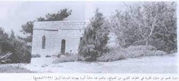 قرية سعسع قبل النكبة