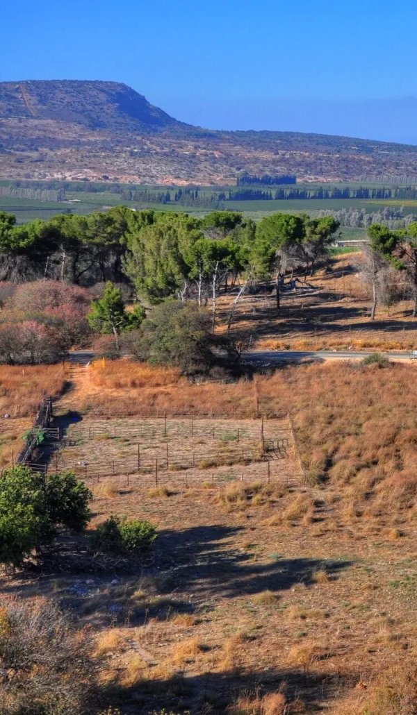 إطلالة عامة لأراضي قريةقدس، نقلاً عن موقع فلسطين في الذاكرة