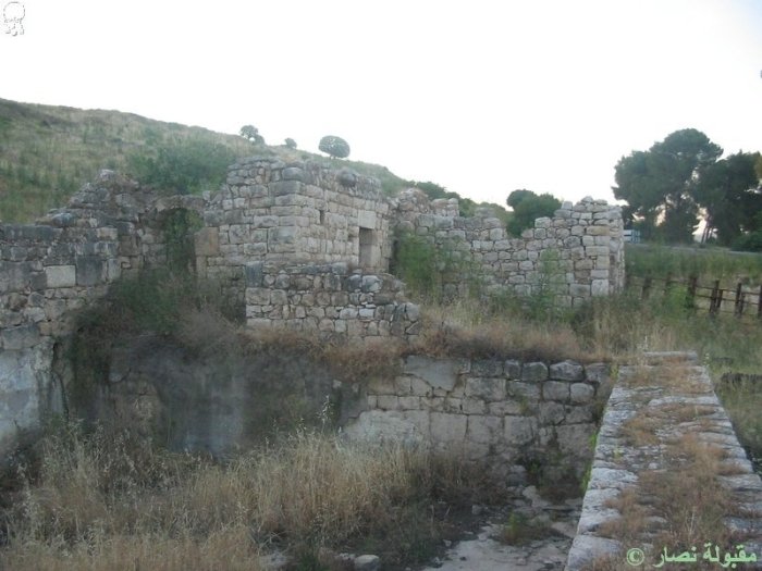 قَدَسْ/ قادش  | موسوعة القرى الفلسطينية