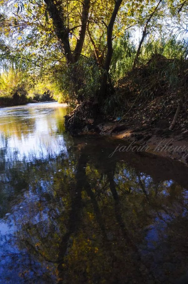  | موسوعة القرى الفلسطينية