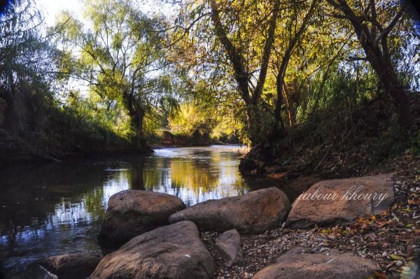  | موسوعة القرى الفلسطينية