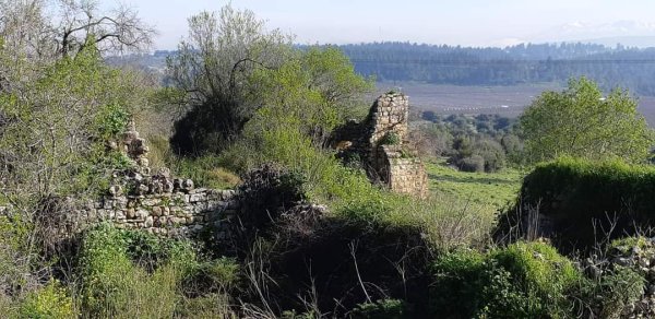  | موسوعة القرى الفلسطينية