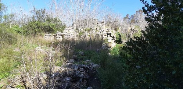  | موسوعة القرى الفلسطينية