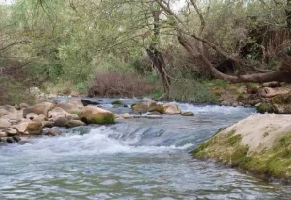 نهر الحاصباني عند مروره بقرية لزازة، قلاً عن موقع فلسطين في الذاكرة