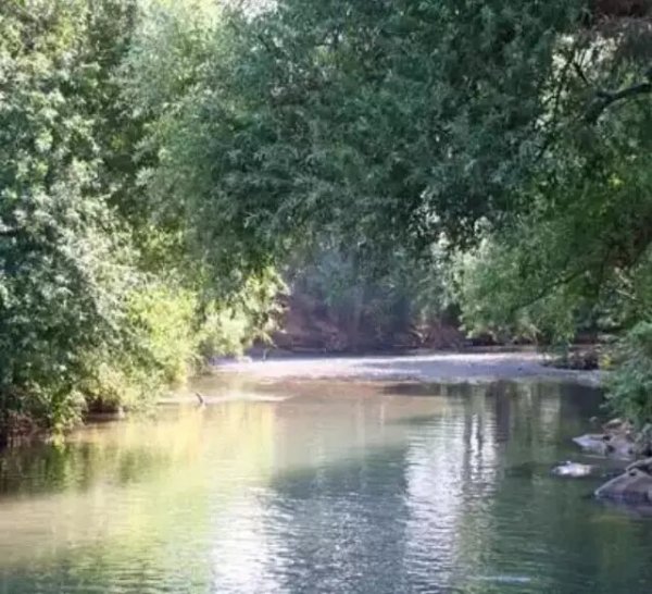 نهر الحاصباني عند مروره بقرية لزازة، قلاً عن موقع فلسطين في الذاكرة