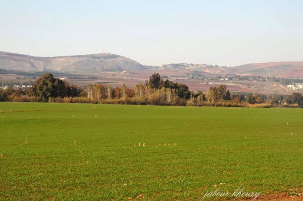 موقع قرية لزازة المهجرة، نقلاً عن موقع فلسطين في الذاكرة