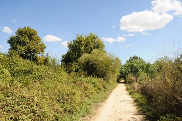 أراضي قرية مداحل، نقلاً عن موقع فلسطين في الذاكرة