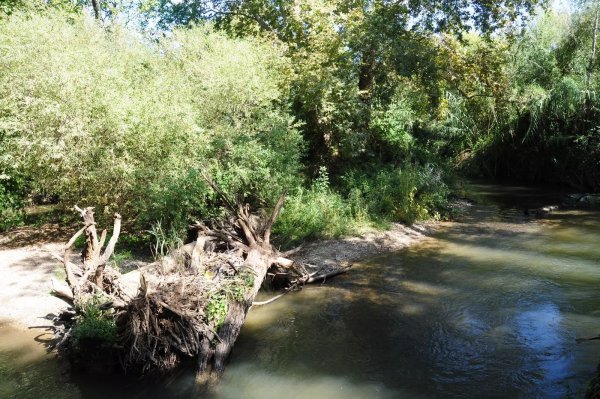 نهر بانياس في قرية مداحل، نقلاً عن موقع فلسطين في الذاكرة