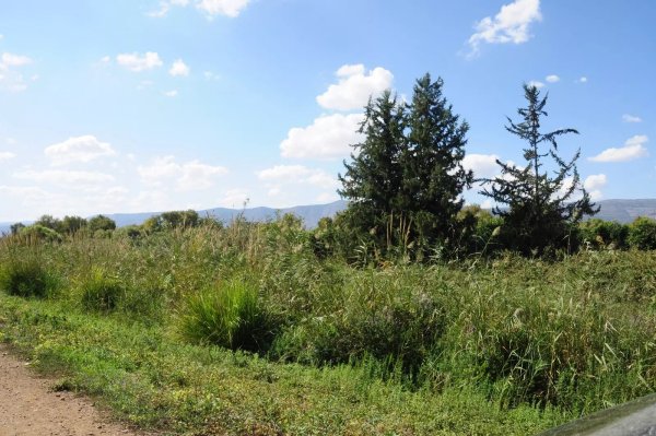 منظر لأراضي قرية مداحل من الناحية الشرقية، نقلاً عن موقع فلسطين في الذاكرة