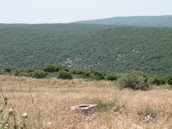 البير الفوقاني بجانب مقبرة القرية، نقلاً عن موقع فلسطين في الذاكرة