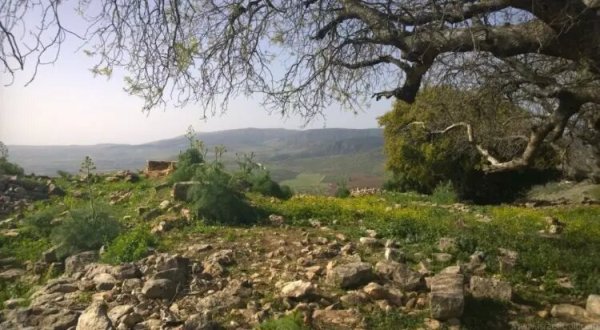  | موسوعة القرى الفلسطينية