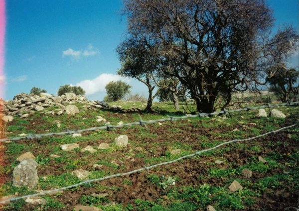  | موسوعة القرى الفلسطينية