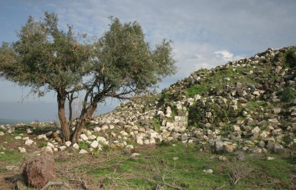  | موسوعة القرى الفلسطينية