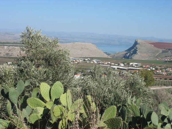  | موسوعة القرى الفلسطينية