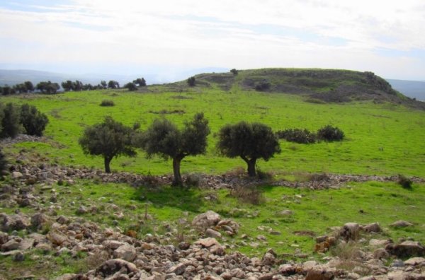  | موسوعة القرى الفلسطينية