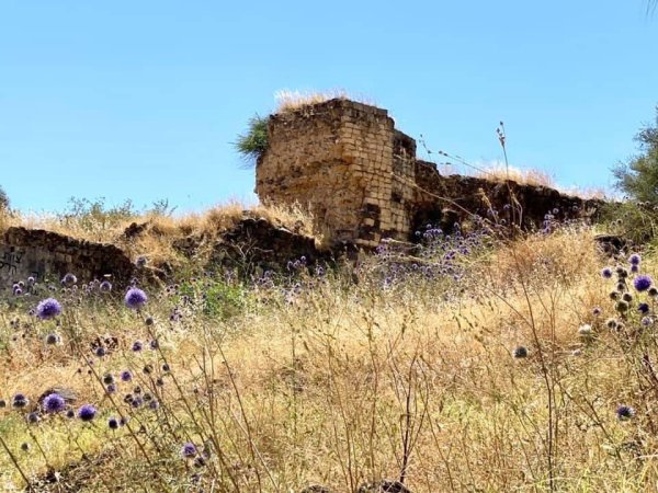  | موسوعة القرى الفلسطينية