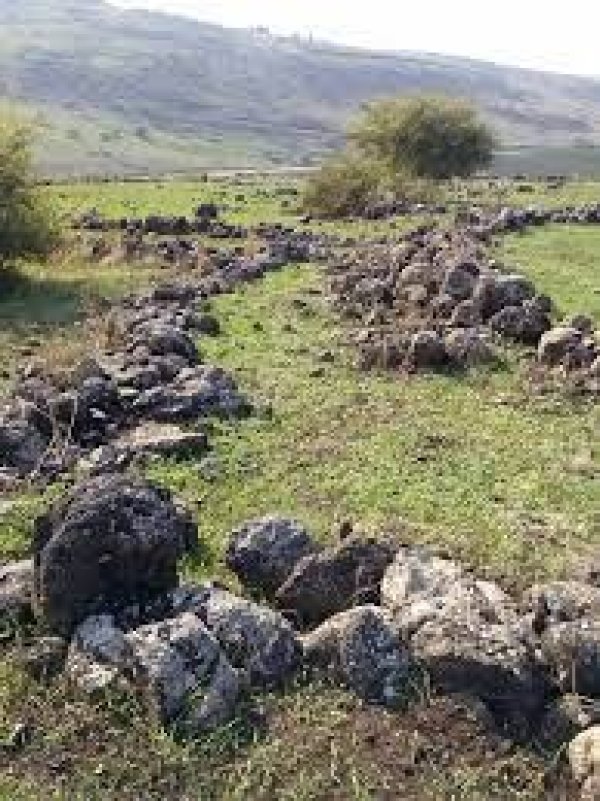  | موسوعة القرى الفلسطينية