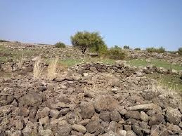  | موسوعة القرى الفلسطينية