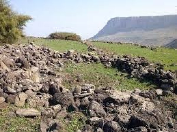  | موسوعة القرى الفلسطينية