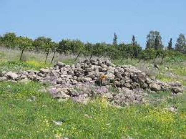  | موسوعة القرى الفلسطينية