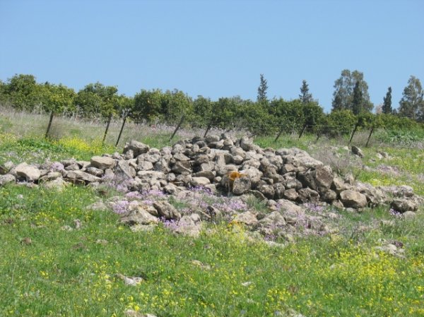  | موسوعة القرى الفلسطينية