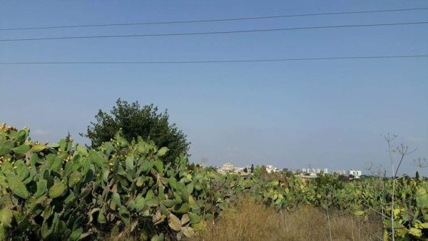  | موسوعة القرى الفلسطينية