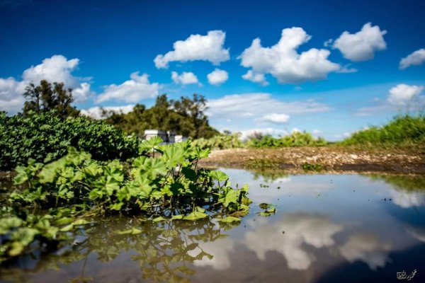  | موسوعة القرى الفلسطينية