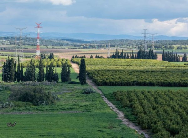  | موسوعة القرى الفلسطينية