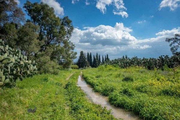  | موسوعة القرى الفلسطينية