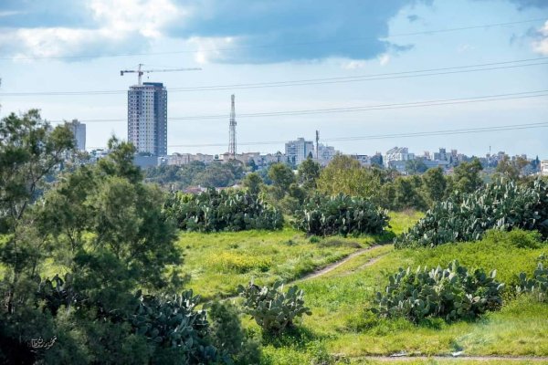  | موسوعة القرى الفلسطينية