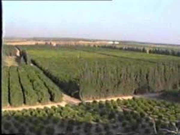  | موسوعة القرى الفلسطينية