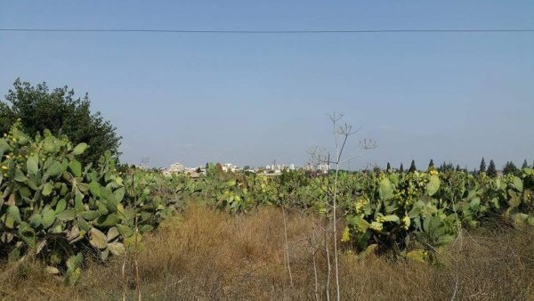  | موسوعة القرى الفلسطينية