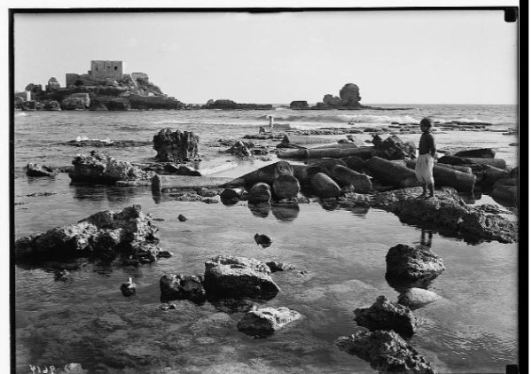 قرية قيسارية قبل النكبة