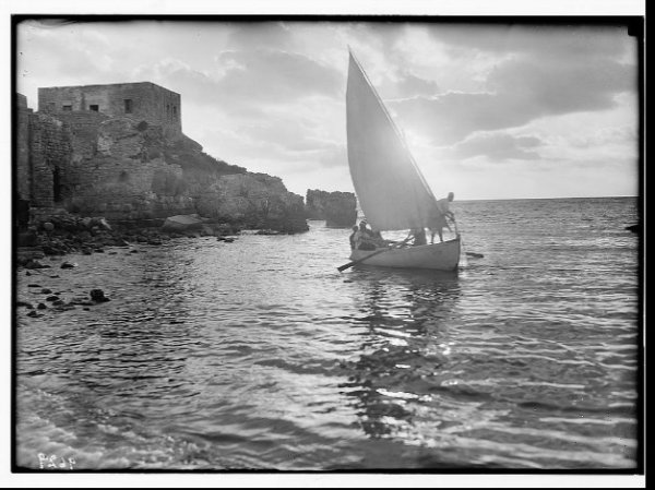 قرية قيسارية قبل النكبة