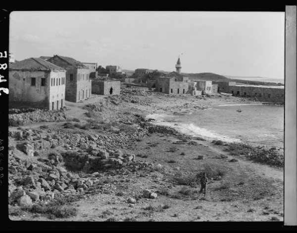 قرية قيسارية قبل النكبة