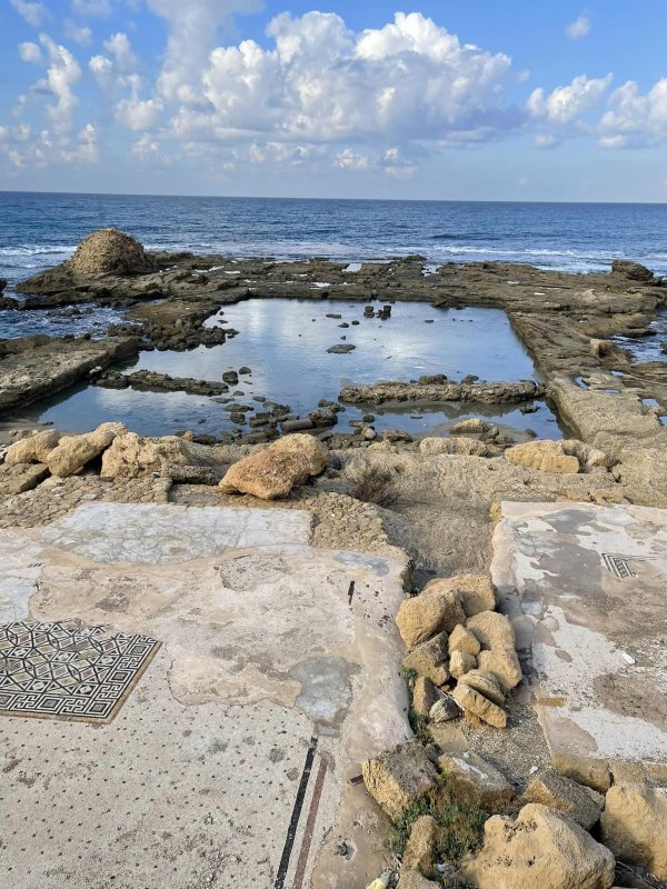 من قرية قيسارية المحتلة، بعدسة: واجد النوباني