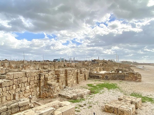 من قرية قيسارية المحتلة، بعدسة: واجد النوباني