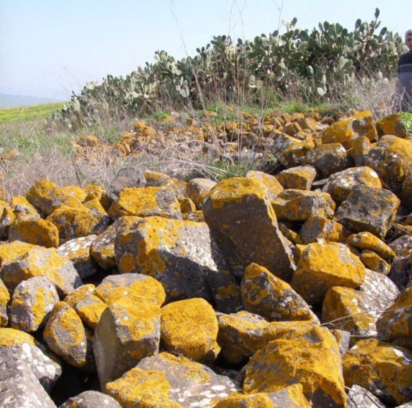  | موسوعة القرى الفلسطينية