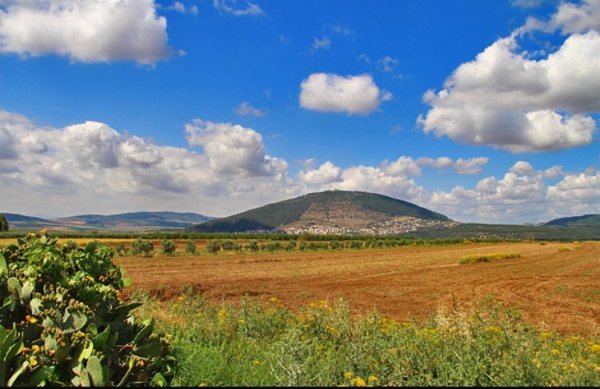  | موسوعة القرى الفلسطينية