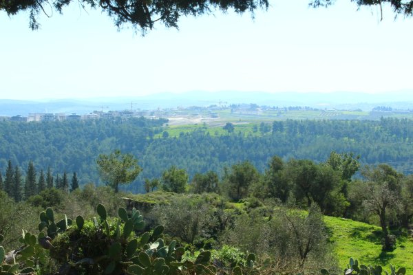 منظر عام لقرية أم الزينات