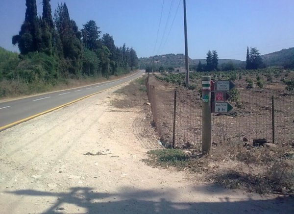 الطريق إلى إجزم من طريق حيفا- يافا