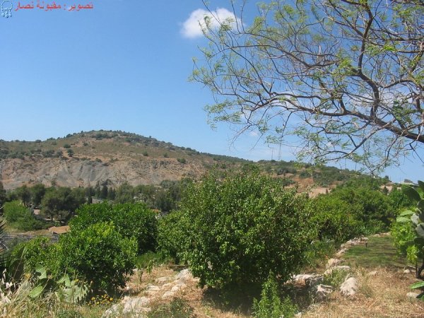منظر لأراضي القرية من الناحية الغربية