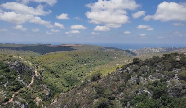 قرية ابطن/حيفا