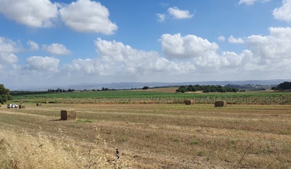 قرية ابطن/حيفا