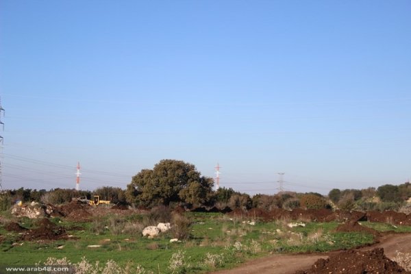 قرية ابطن/حيفا