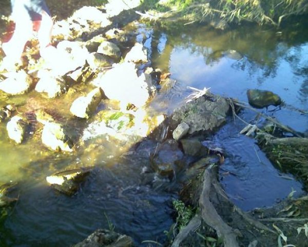  | موسوعة القرى الفلسطينية