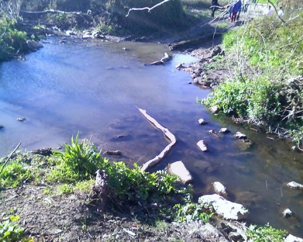  | موسوعة القرى الفلسطينية