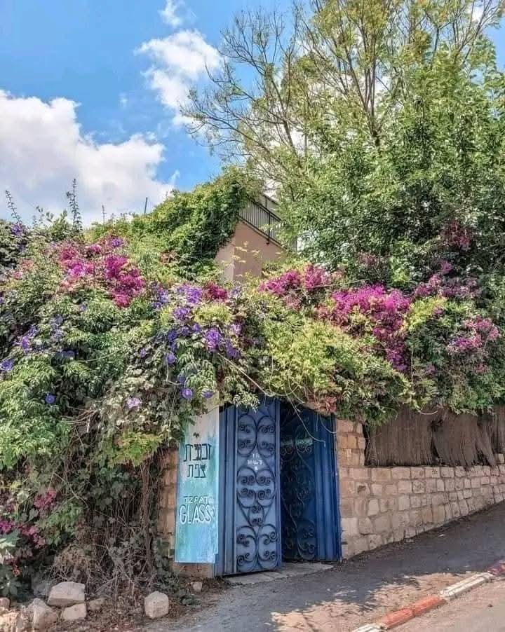 صو ة نادرة لقرية اسدود قضاء مدينة غزة عام 1880